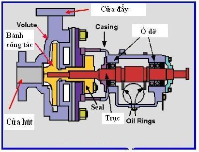 Kỹ Thuật Sửa Chữa Ô Tô Nâng Cao